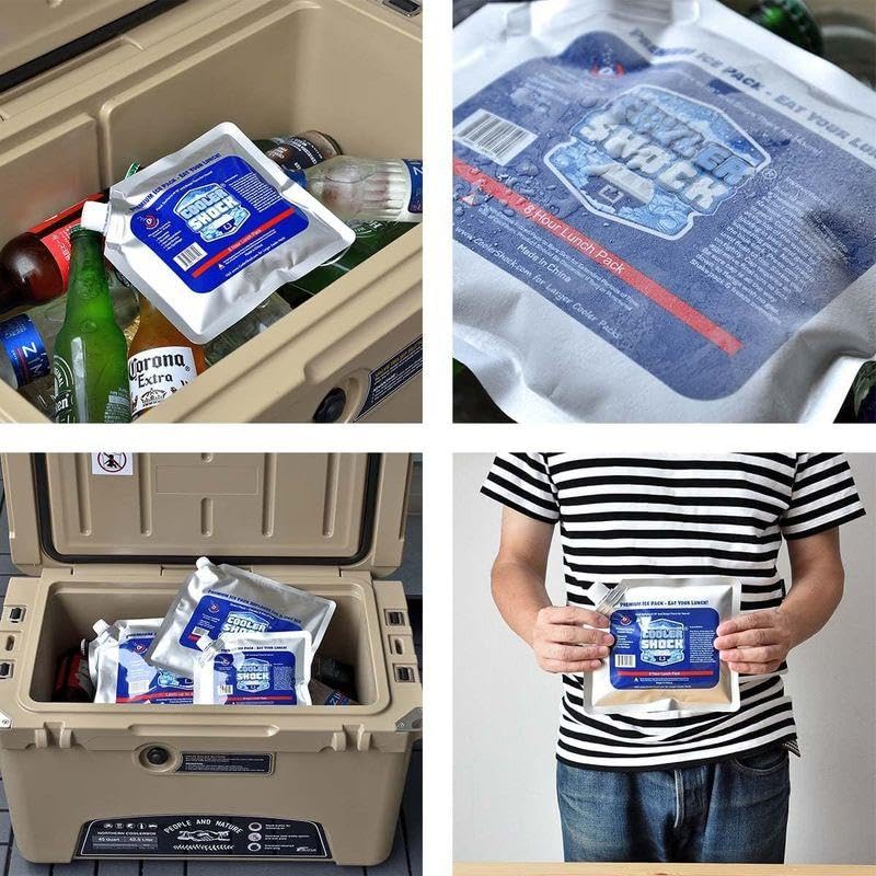 COOLER SHOCK Ice Set of 2 Packs, Small,