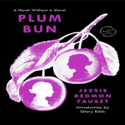 Plum Bun by Jessie Redmon Fauset Paperback Book 9780593731956