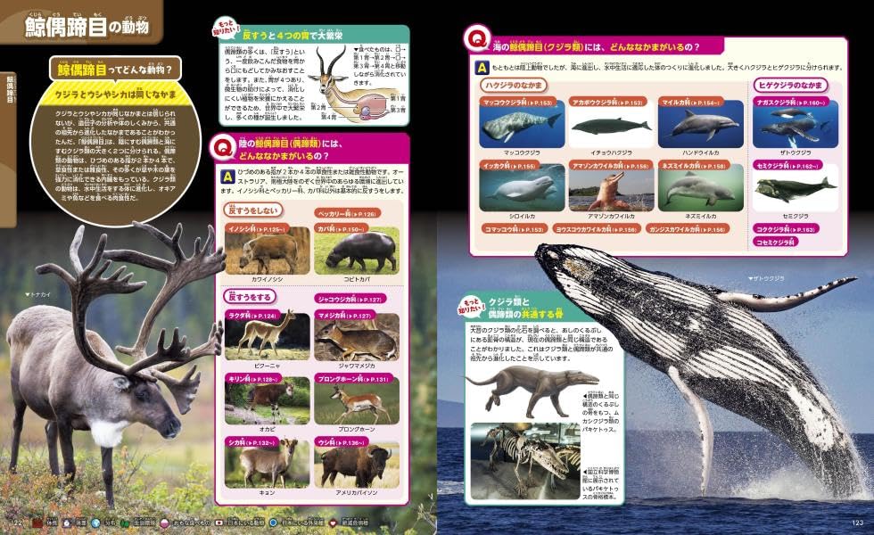 Animals, New Edition, Second Edition (Kodansha's Moving Picture Book MOVE)