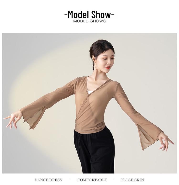 Chinese Classical Dance Costume: Women's Fairy Gauze Top and Mesh Skirt Set