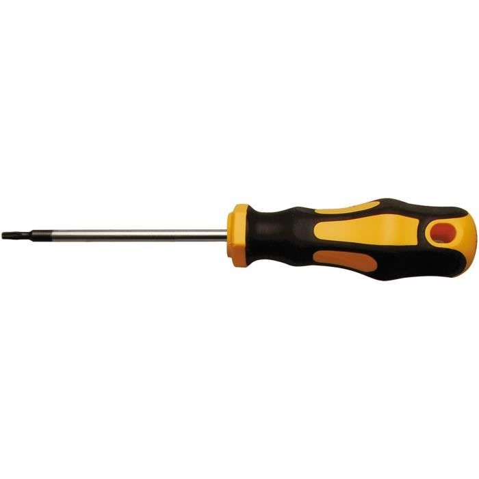 Tournevis - BGS - Profil en T (Torx) T6 - Lame 60 mm - Poignée ergonomique - Acier chrome-vanadium
