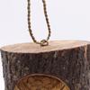 Tree Trunk Face – Bird House – Wise Owl