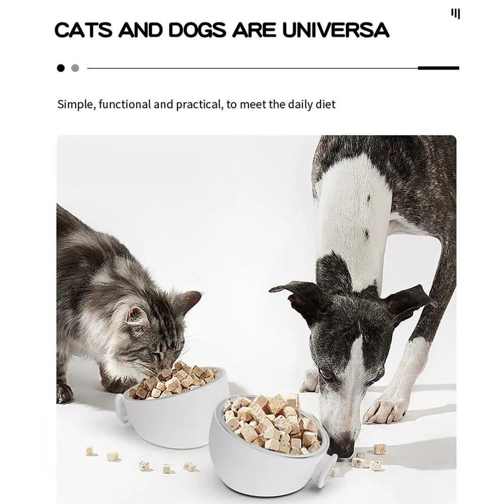 Stainless Steel Wall Mounted Dog Bowl Adjustable Height Pet Food Container  Cat