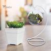 Moderner Minimalistischer Ständer Ornamenthalter für Glaskugeln Spiraldesign mit Stabiler Eisenbasis Gestell Luftpflanzen Terrarium Hexenkugel Hochzeit Zuhause