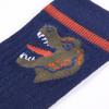Children's Socks, 5 Pairs, 30-34