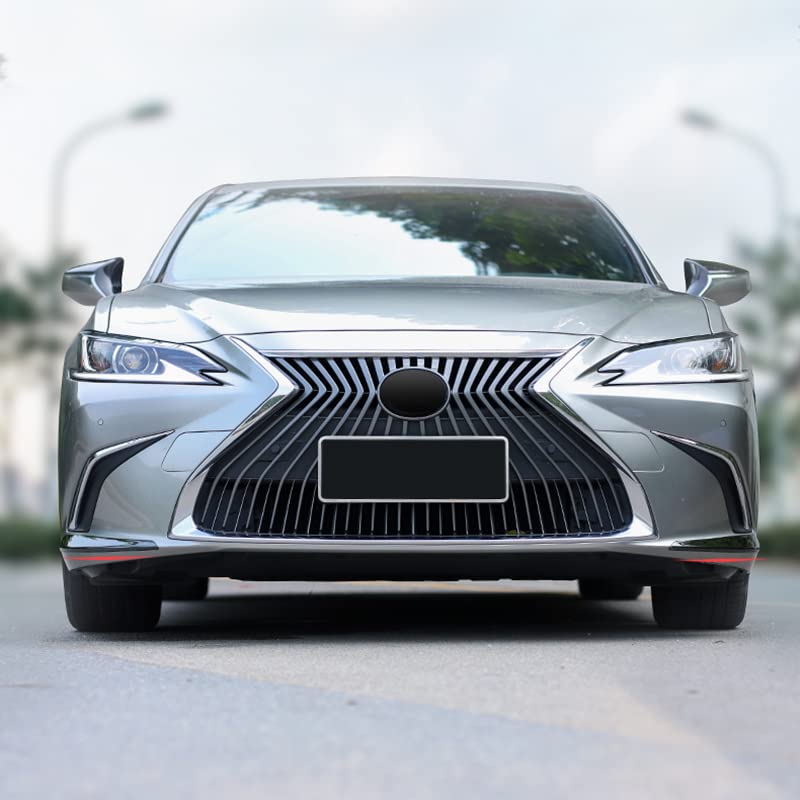 Onami Lexus Corner Corner Front Corner Stainless Mirror Compatible with the New Lexus 10 Series ES300h Garnish, Mould, Garnish, Accessory, Steel,