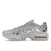 Nike Air Max Plus GS 'Light Iron Ore Chrome' FZ0977-001