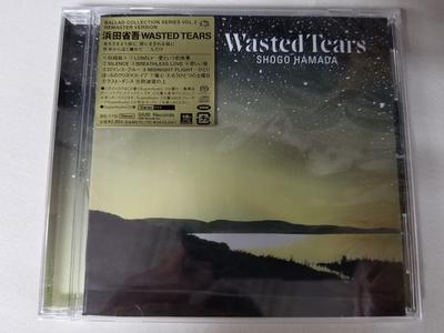 CD SHOGO HAMADA  Wasted Tears SECL10002 SME Records 2003 Japan Japanese PopRock Used