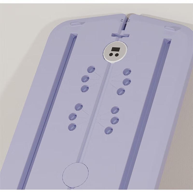 WEZHO Multifunctional Abdominal Fitness Board