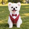 Short Sleeve Dog Wedding Suit Lightweight Spring Suit Shirt Classic Dog Costume Vest  Party