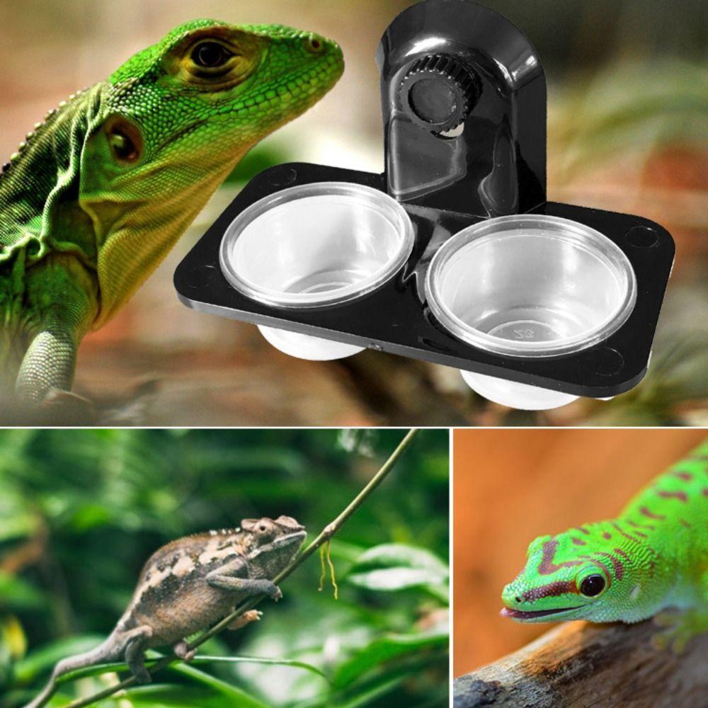 Dual Purpose Insect Feeding Dish Plastic Gecko Feeding Ledge Reptile Feeder Bowl for Snake