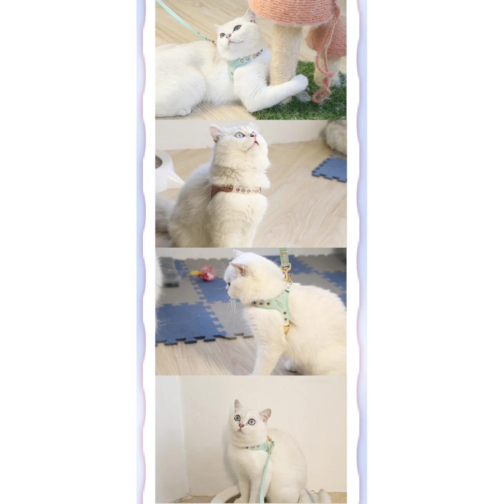 PU Leather Dog Cat Harness Vest and Leash Set Imitation Diamond Pet Harness Puppy Small Dog Cat Harness Pet Supplies