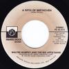 7inch Record WALTER MURPHY  THE BIG APPLE BAND  A Fifth Of Beethoven PS45073 Private Stock 1976 US SoulFunk Used