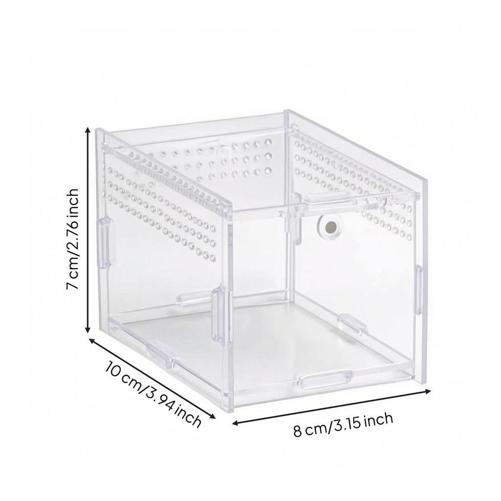 Transparent Acrylic Display Box with Assembled Panels Clear Reptile