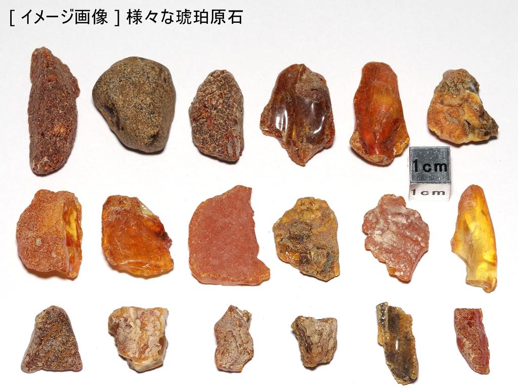 Stein Natürlicher fossiler Bernstein Rohstein 1000g [N2 Natural] / (ca. [ca.. 10-15mm] Satz)