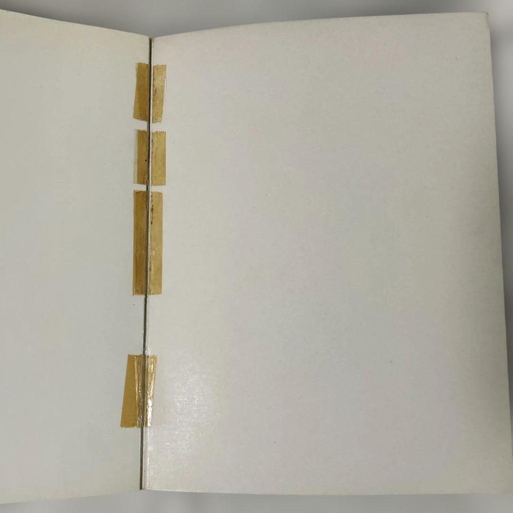 [USED] Photobook White Women Helmut Newton Books