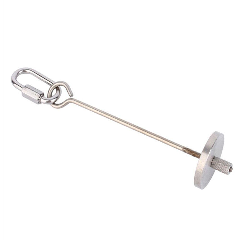 

2 Sizes Budgie Stainless Steel Parrot Small Bird Skewer Fruit Spear Holder Pet Toy Parrot Feeder