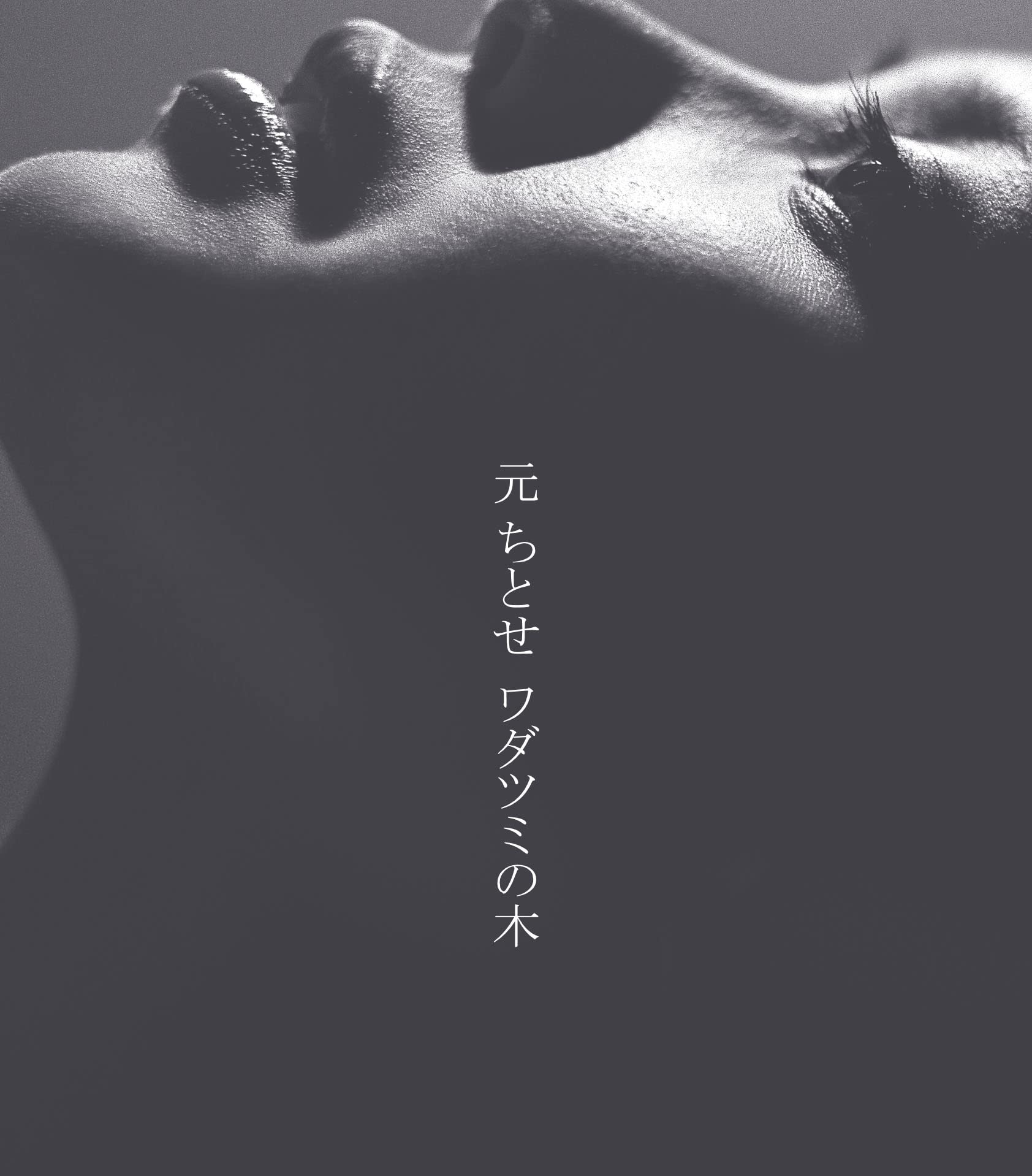 

Wadatsumi no Ki (Limited Edition) [Analog]