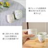 Hasami Ware Teacup Pair Set with Cherry Blossom Spiral Design.