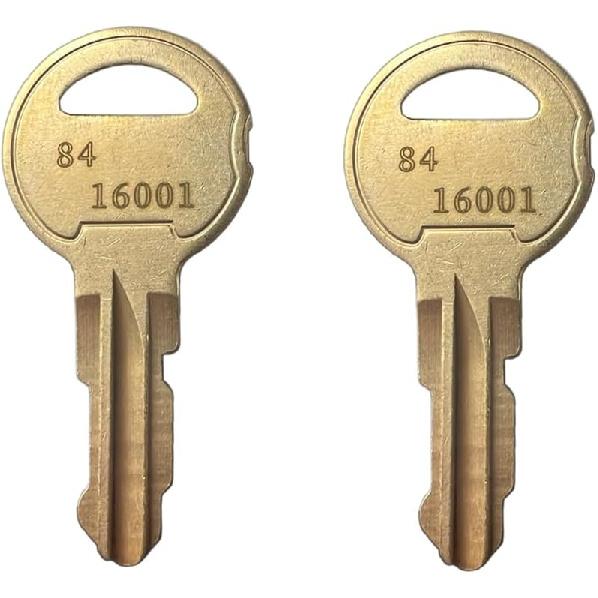 KeyPower (2) 84-16001, 84 16001 Keys for DKS Doorking Lock 4001-055