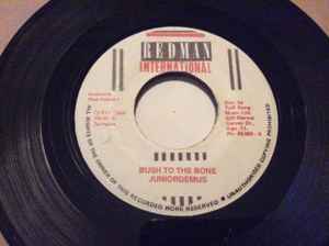 

7inch Record JUNIOR DEMUS - Bush To The Bone NONE Redman Internat 1989 Jamaica Reggae, Ska & Dub Used