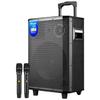 Philips SD170MAX 12-inch Portable Bluetooth Karaoke Speaker CN Plug (adapter Included)