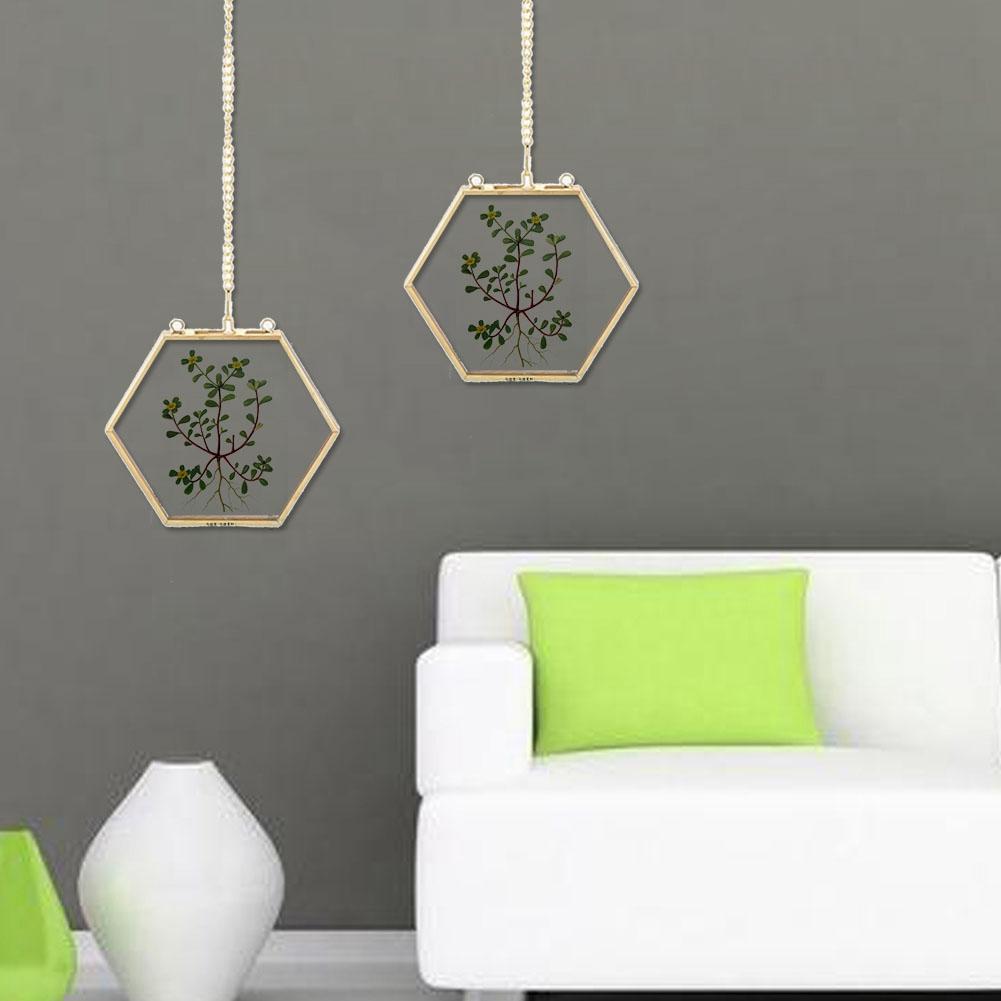 

Unique Geometric Hexagonal Glass Picture Frame Dried Flower Plant Specimen Display Holder