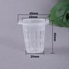 50 Stück Hydroponischer Pflanzkorb Pflanzenzuchtbehälter Garten Schlitztasse Hydroponische Gemüsepflanzung Setzlingtasse Schwamm