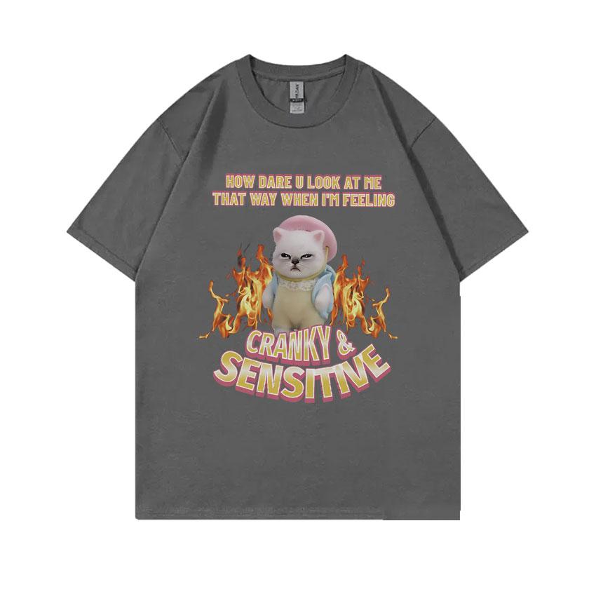 How Dare U Look At Me That Way When Im Feeling Cranky Sensitive Kawaii Cat Funny Meme Tshirt Unisex Women Casual Cotton T Shirts