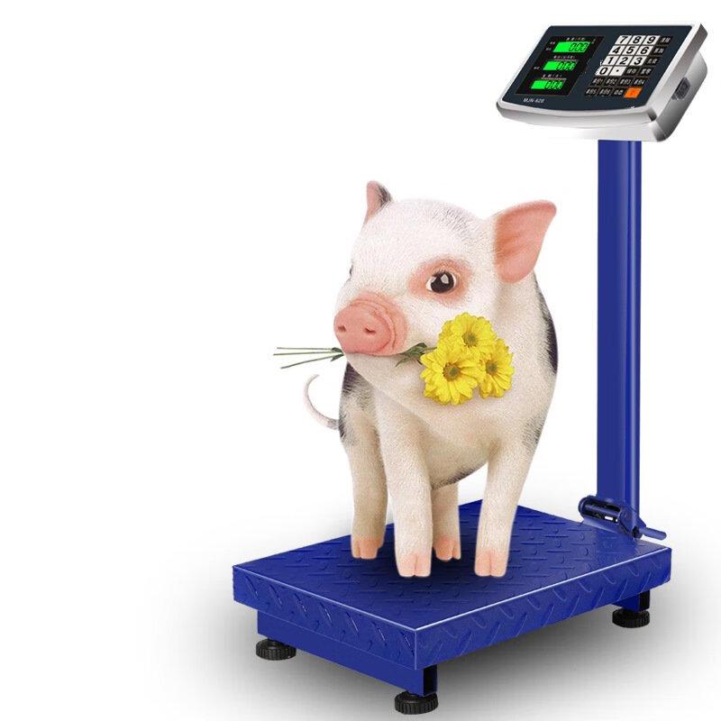 ZISIZ 300kg Digital Platform Weighing Scale