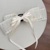 1pc French lace bow tie ribbon hair clip for women, summer half-updo, back of the head, pin curl hair clip.