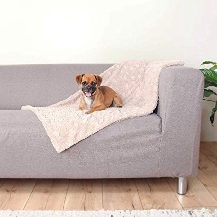 Coussin pour Chien - TRIXIE - Beige - Doux - Protège les Meubles - Intérieur