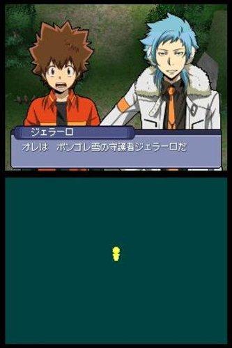 Reborn! DS Fate of Heat III: The Snow Guardian's Invasion! (Standard Edition)