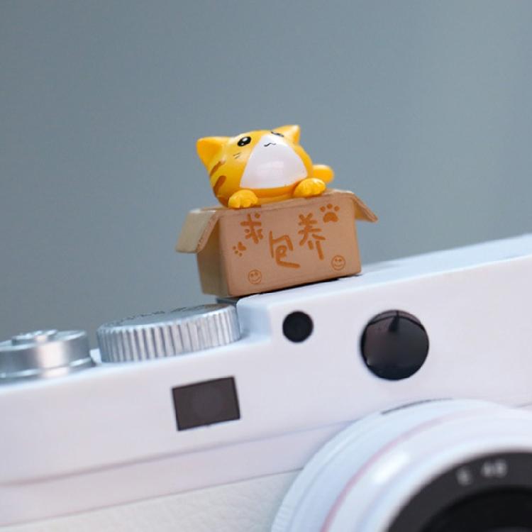 3D kreslený kryt sáněk fotoaparátu Roztomilý pro kočku DSLR Prachotěsný kryt sáněk pro DS