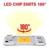 LED Chip Matrix Solderless AC 220V  High Power 20W 30W 50W COB Chip LED Lamp No Need Driver for Flood Light Spotlight Outdoor DIY Lighting