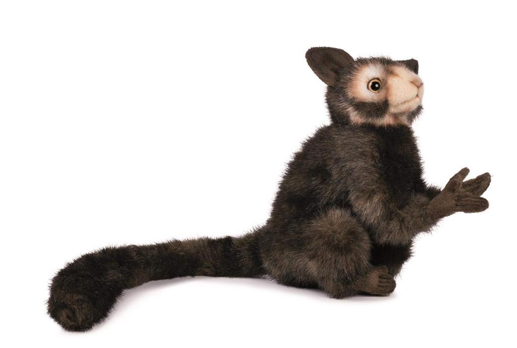 BH5166 HANSA AiAi 20