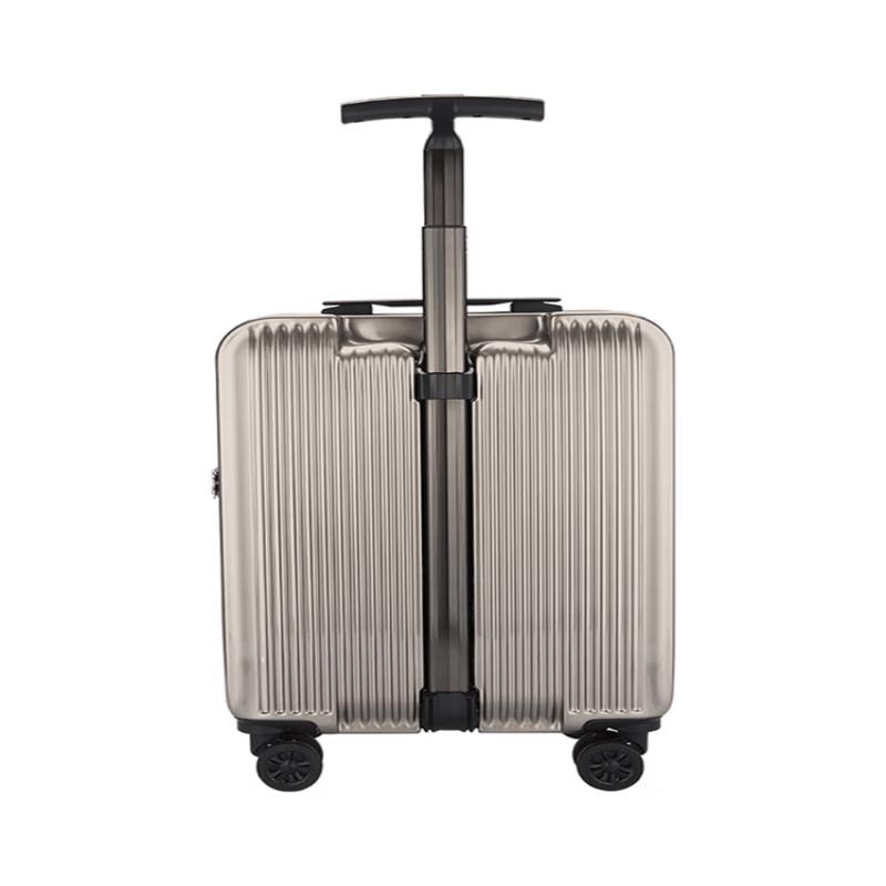 Diplomat Hardshell Spinner Luggage