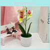 Butterfly Orchid Decorative Artificial Flower For Wedding Arrangements And Photography Sets