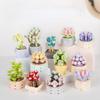 Bonsai Building Blocks City Creative Pant Flower Block Building Bricks Construction Flowers DIY Potted Blocks Gift.