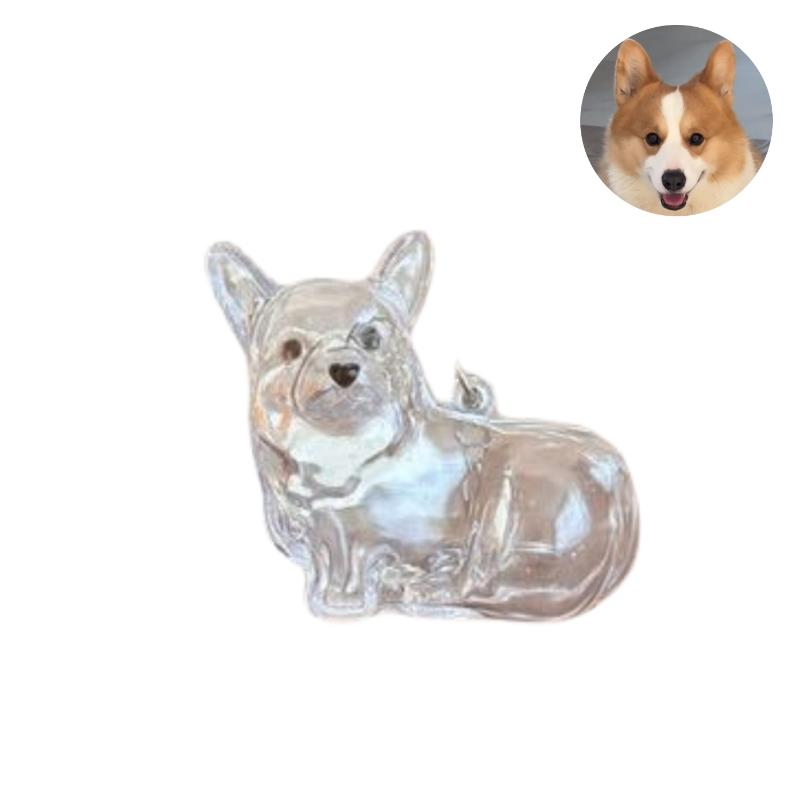 Cute Dog Hair Storage Keychain Transparent Pet Fur Keepsake Capsule Bag Pendant Decor Souvenir Collection Gift Memorial Jewelry