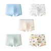 Boy's Antibacterial Boxer Briefs 5-Pack