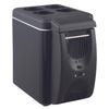 6L Car Refrigerator & Warmer - Compact Mini Fridge for Dorms