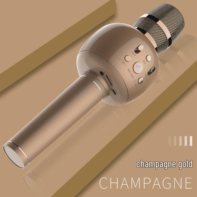 Guangfengyuan Kids' All-in-One Singing Microphone & Speaker