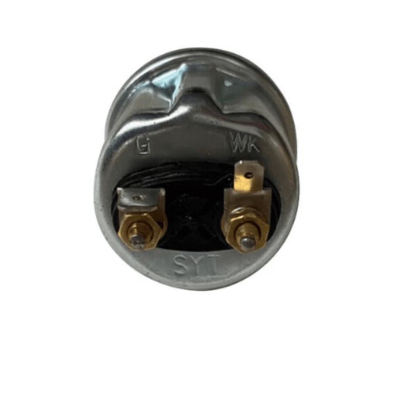 Lelanda Automotive Oil Pressure Sensors