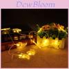 Iluminare – Ghirlande și lumini decorative