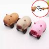 Squishy Capybara Car Toy Elongation Sliding Decompression Toys Gift Christmas