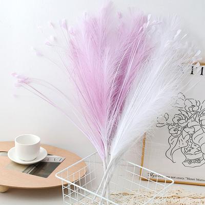 1PC Fake Plant Reed Colorful Peacock Grass Reed Peacock Grass Fake Flower Decoration Simulated Flower Wedding Decoration 7 Colors