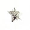 Hairpin Five-Pointed Star Shape Hair Clip Exaggerated Metal Texture Side Bang Hair Pin Fade-Resistant Hair Accessory