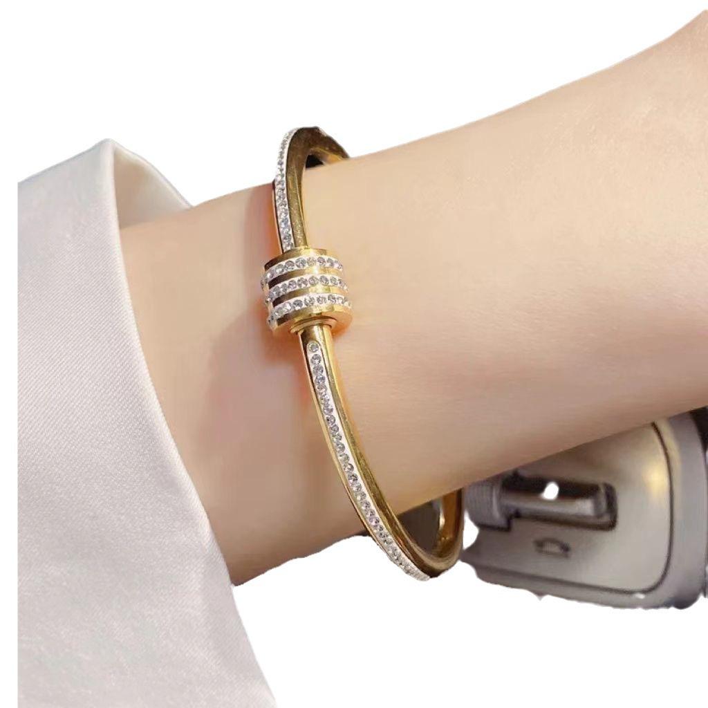 Bracelet Élégant en Acier Titane Incrusté de Zircon pour Femmes - Cadeau de Luxe pour Petite Amie ou Meilleure Amie