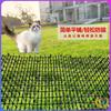 Cat Deterrent Mat Cat Repellent Spikes Balcony Cat Deterrent Net Garden Cat Repellent Pet Deterrent